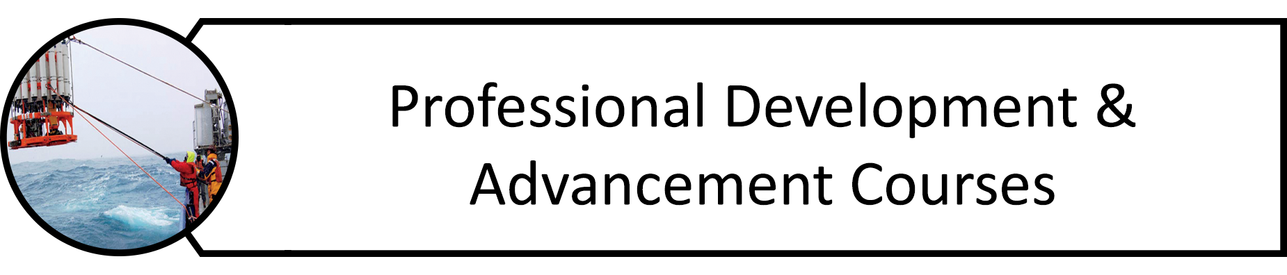 Professional Development & Advancement Courses